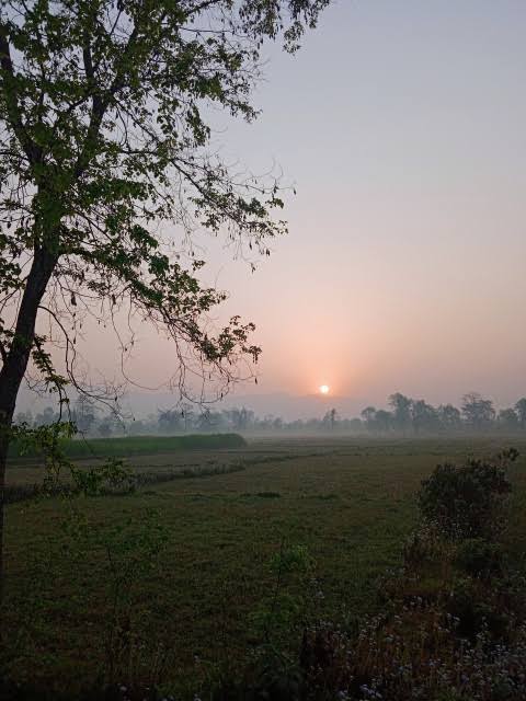 Good morning Friends ☀️🌅