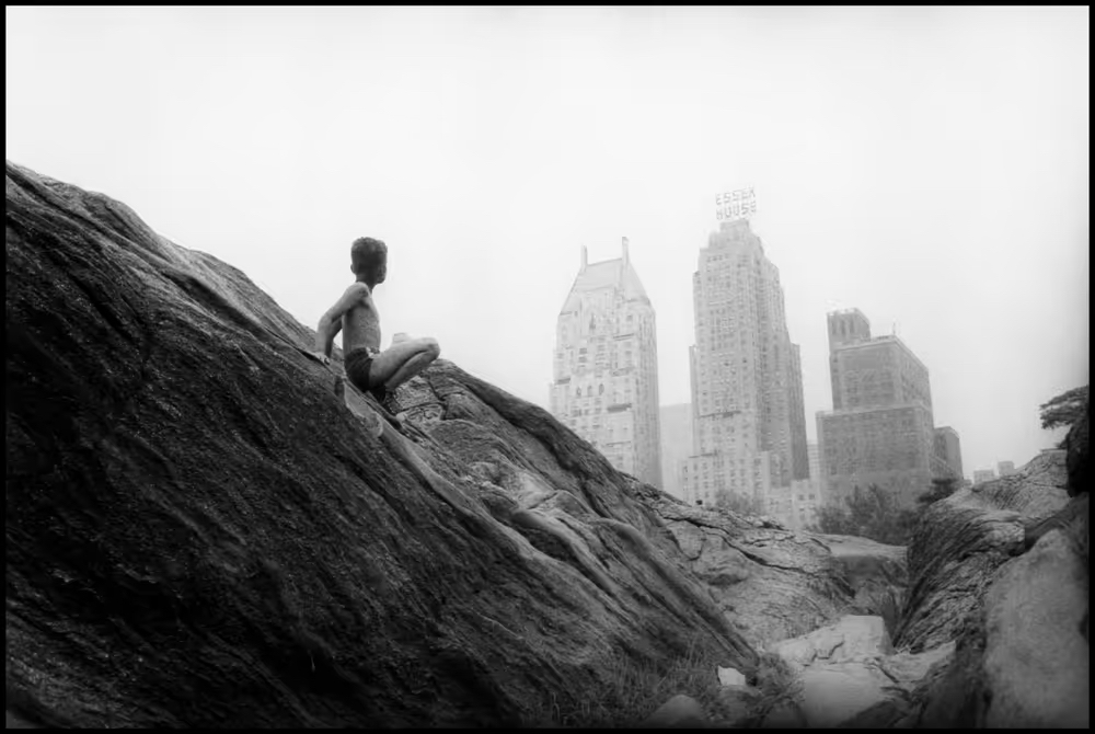 Phil Gara | BIP-420 (@phillipgara) on Twitter photo Just added a <a href="/joelmeyerowitz/">Joel Meyerowitz</a> Sequels to compliment my Bruce Davidson, both sentimental
The building under construction is where I grew up playing hockey, and the rock in central park, spent hours playing on
Doubt if i walked into a NYC gallery I'd be able to buy works like this Just added a <a href="/joelmeyerowitz/">Joel Meyerowitz</a> Sequels to compliment my Bruce Davidson, both sentimental
The building under construction is where I grew up playing hockey, and the rock in central park, spent hours playing on
Doubt if i walked into a NYC gallery I'd be able to buy works like this
