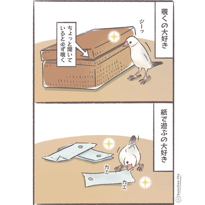逆に全然興味無くなるのなんで?
#文鳥 
#4コマ漫画 