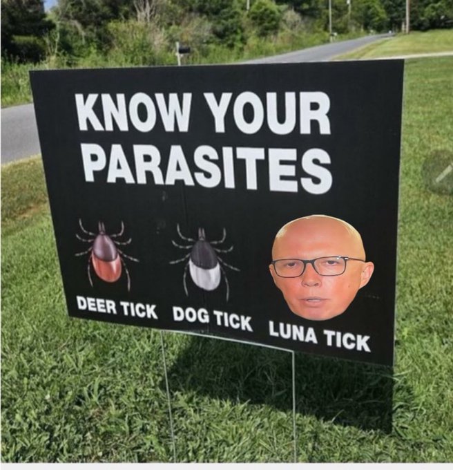 Dac3064David's tweet photo. @blakandblack #LNPNeveragain     Nailed it. https://t.co/rLRRO8OKro