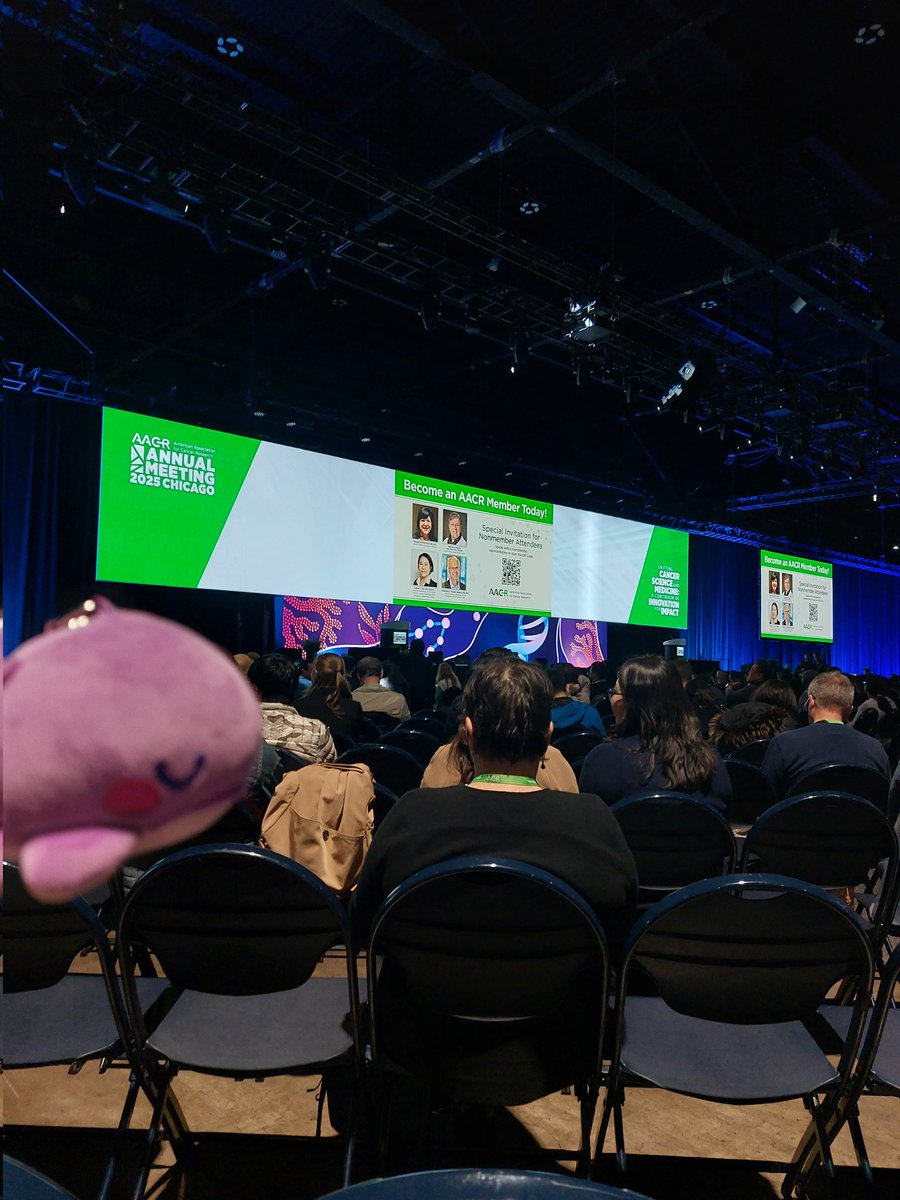 MorlaPhan's tweet photo. Day 2 of #AACR25: Utilized the special, whale-sized transportation receptacle, went to the AACR Career Fair (Was I convinced to do a post-doc???), attended the first plenary session of the conference, and got meaningful life advice from the local taco joint. https://t.co/eNAlB1pcAt