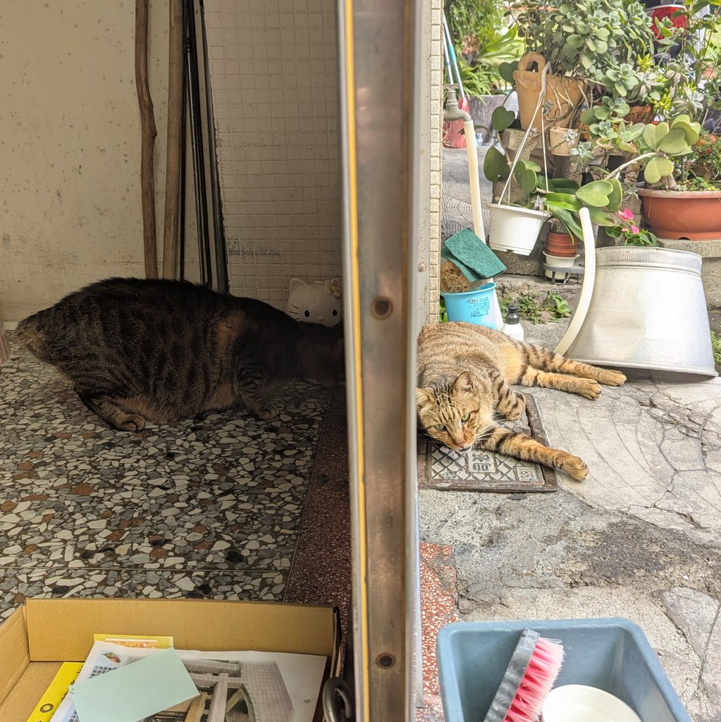 小虎：怎麼感覺背後涼涼的