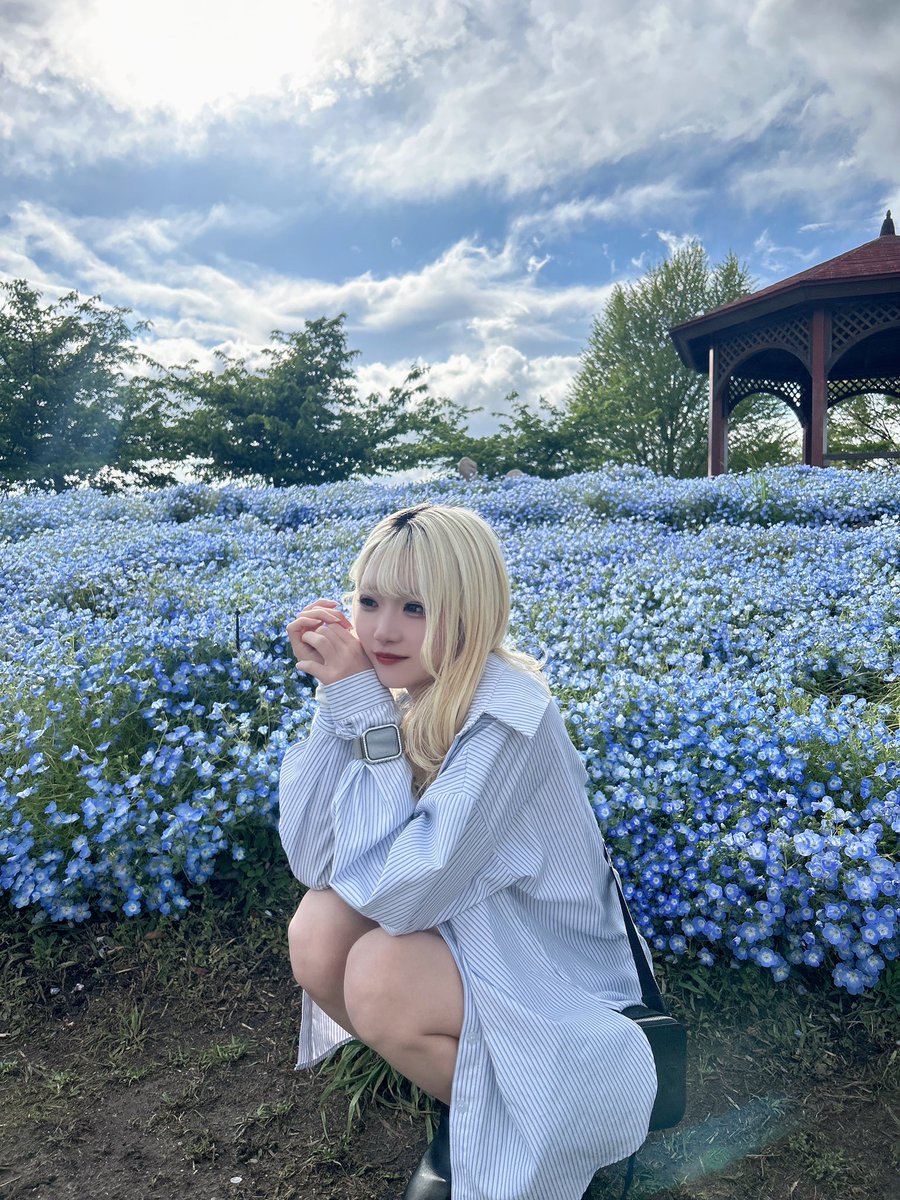 maru___82's tweet photo. ネモフィラ🩵🪻 https://t.co/cmEFoarsfX