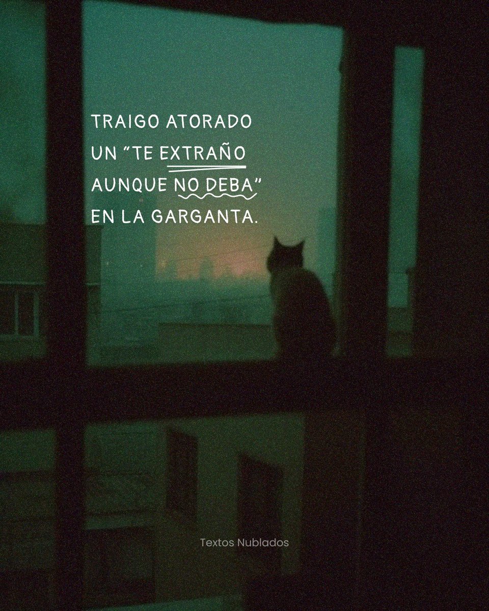 textosnublados's tweet image. 