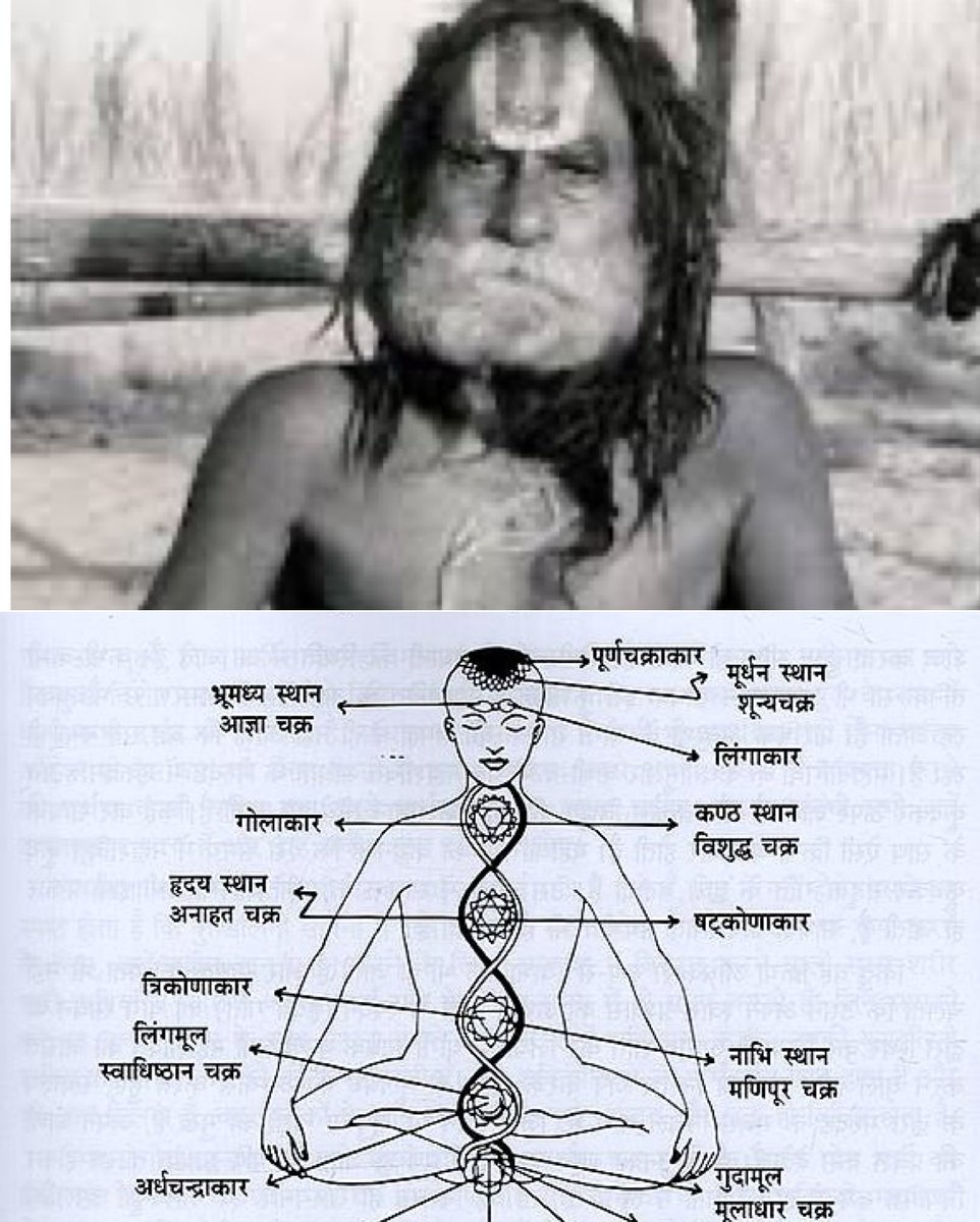 yajnshri's tweet photo. देवराहा बाबा जी ने स्वर एवं नाड़ी का रहस्य बताया एवं कहा निरोग तथा दीर्घ आयु का विशेष रहस्य ज्ञान है 🧵

नास्तिक,कामी, अधर्मी के लिए ये #thread नहीं है 

🔷 कार्य सिद्धि करने के लिए नाड़ी का होता है विशेष प्रयोग 
🔷 श्वास की लंबाई का रहस्य कौनसा है ? https://t.co/FEADn7tB6u
