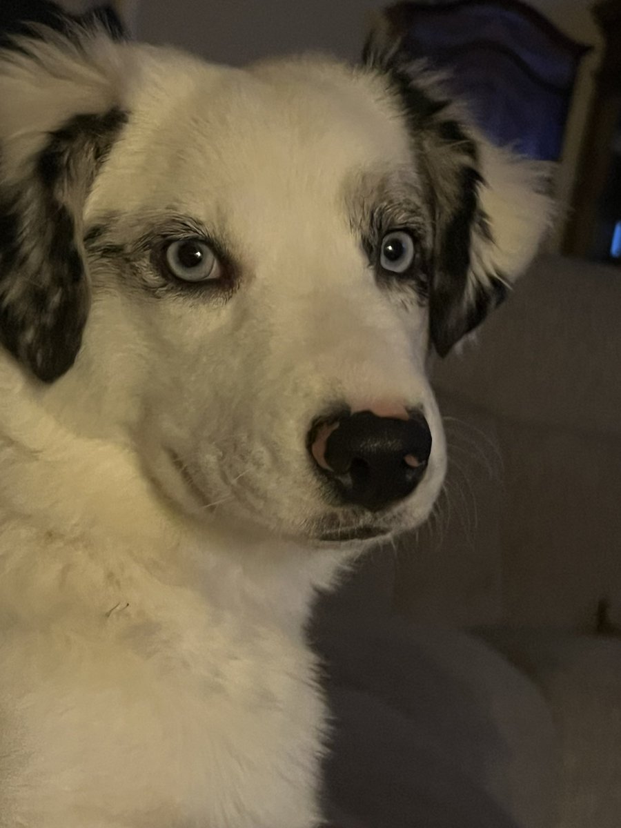 She is growing up and getting more beautiful by the day!