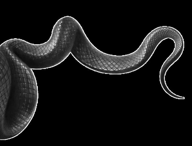 throgueone's tweet image. 𝖎  chase  the  shadows  that  
 linger  in   𝗳𝗼𝗿𝗴𝗼𝘁𝘁𝗲𝗻
 corners .