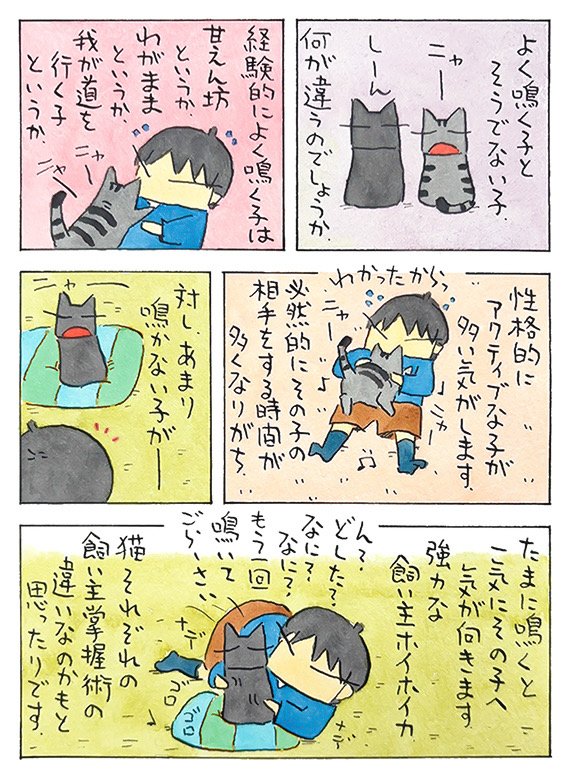 ここでニャー│フェリシモ猫部 https://t.co/TpaRIR2zpm 