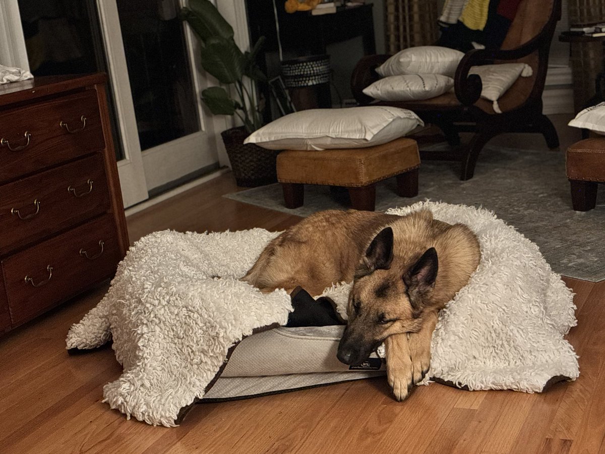 Brit Affolter-Caine (@britanyaffolter) on Twitter photo Phoebs from Thebes - Welcome home! Thank you <a href="/HSHV/">HS of Huron Valley</a> for helping us connect with Phoebe. We love her already. Phoebs from Thebes - Welcome home! Thank you <a href="/HSHV/">HS of Huron Valley</a> for helping us connect with Phoebe. We love her already.