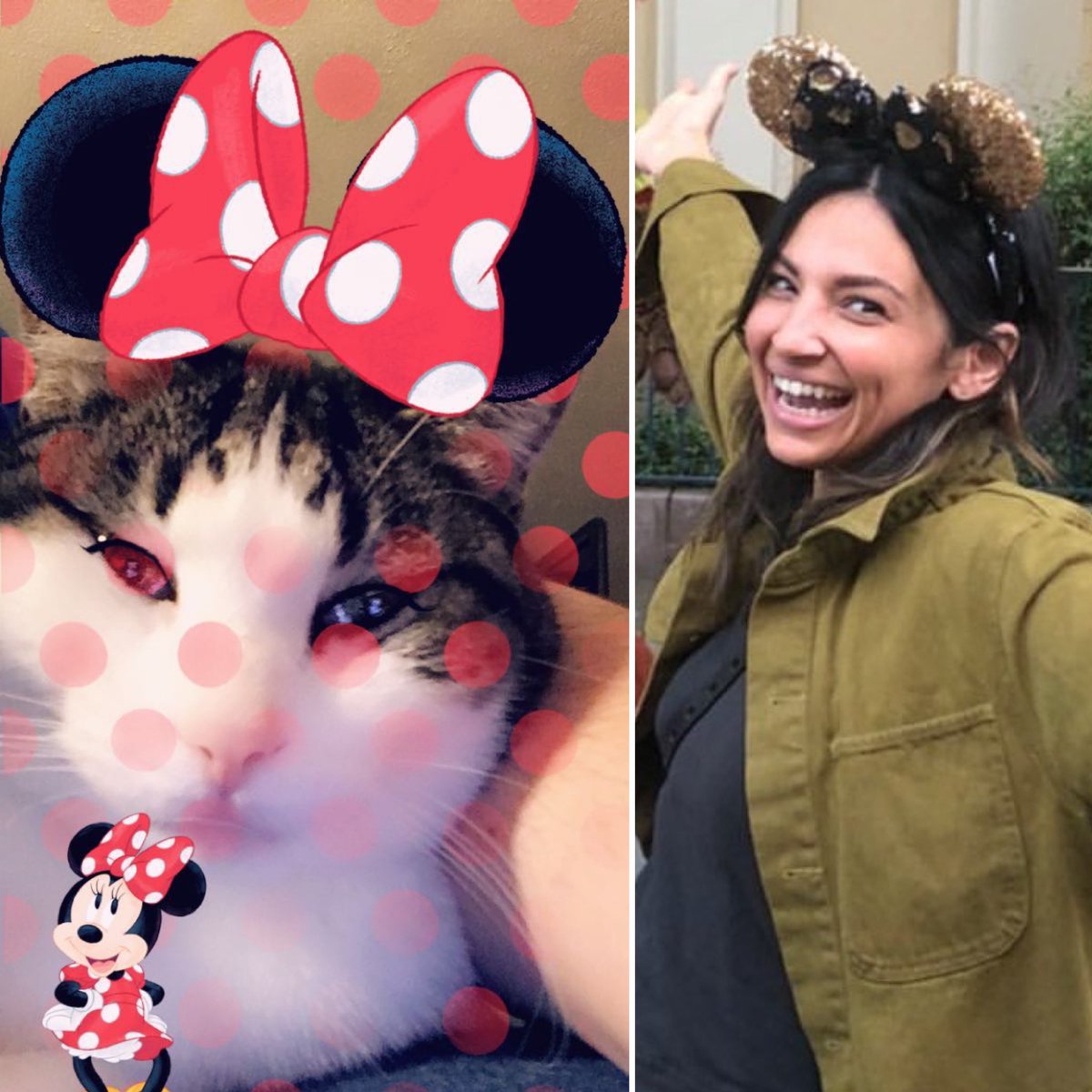 CurlyAsSanvers's tweet photo. #Sanvers #Flyler #CurlyAsSanvers #FlorianaLima #curlythecat https://t.co/PkYl0fio6e