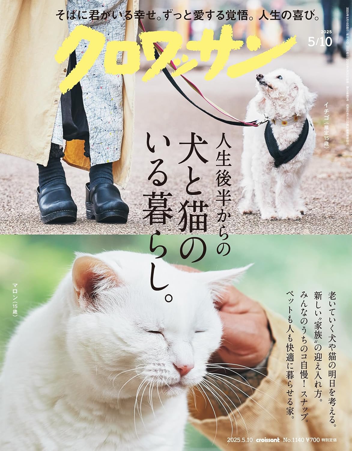 猫柱、時々に中華 on X: 猫柱、時々に中華 on X: