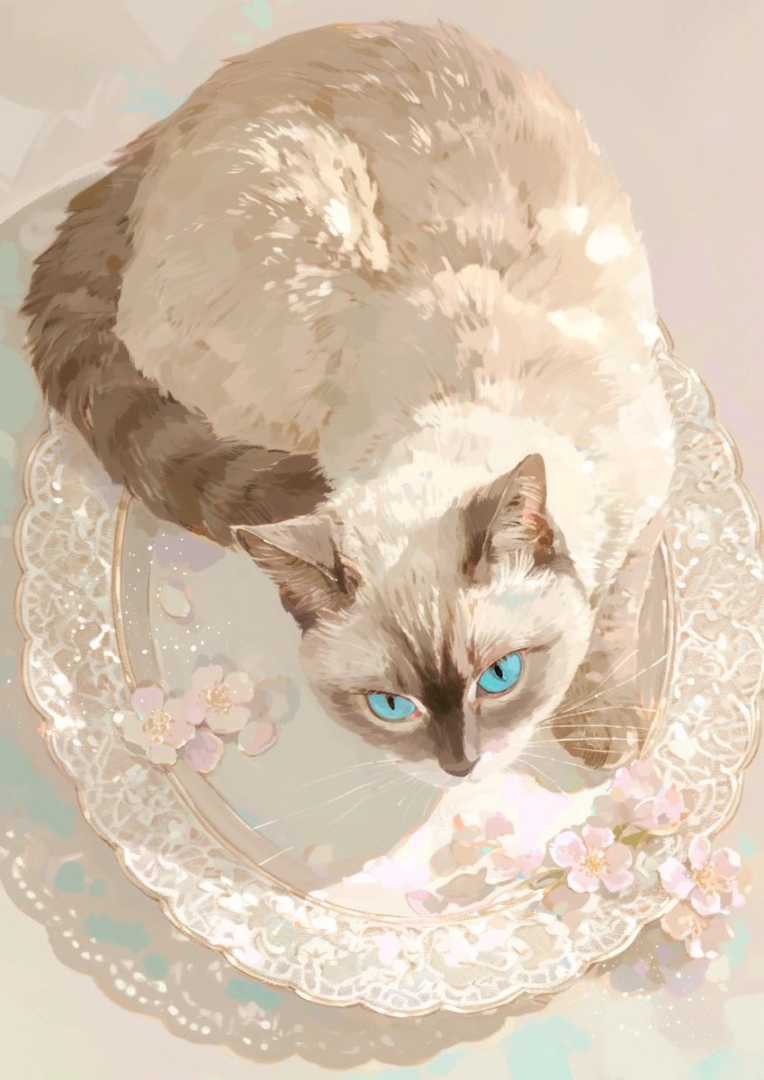 モモ (@momowaaai) on Twitter photo 