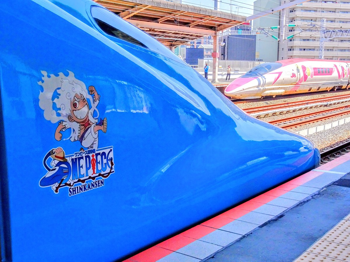 🐯 虎まる姫 🐯 on X