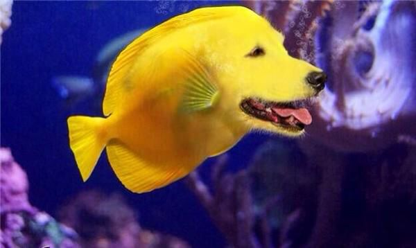 Delta6870 tweet media