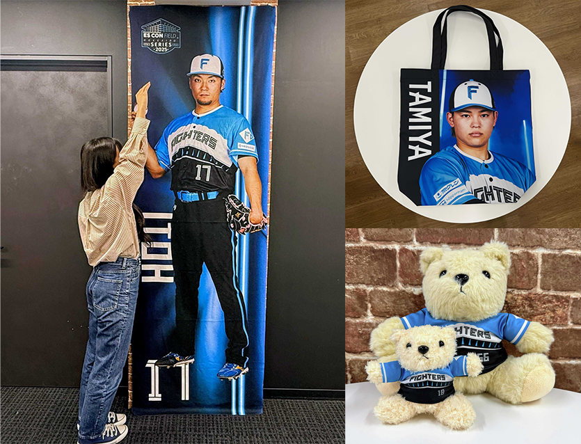 ◇━━━━━━━━━━━━━━━━━━━◇ エスコンフィールド