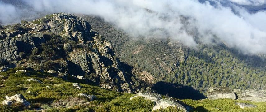 TrailHikingAust's tweet photo. Catherine River, Speculation and Mount Cobbler is a 42km, grade 5 hike located in Alpine National Park, Victoria. The hike should take around 4 days to complete.
#hiking #bushwalking #trailhikingaustralia #TrailsVictoria #WalkVictoria #HikeVictoria #V...
https://t.co/jIAw7BMUat https://t.co/68YCFaaIHR