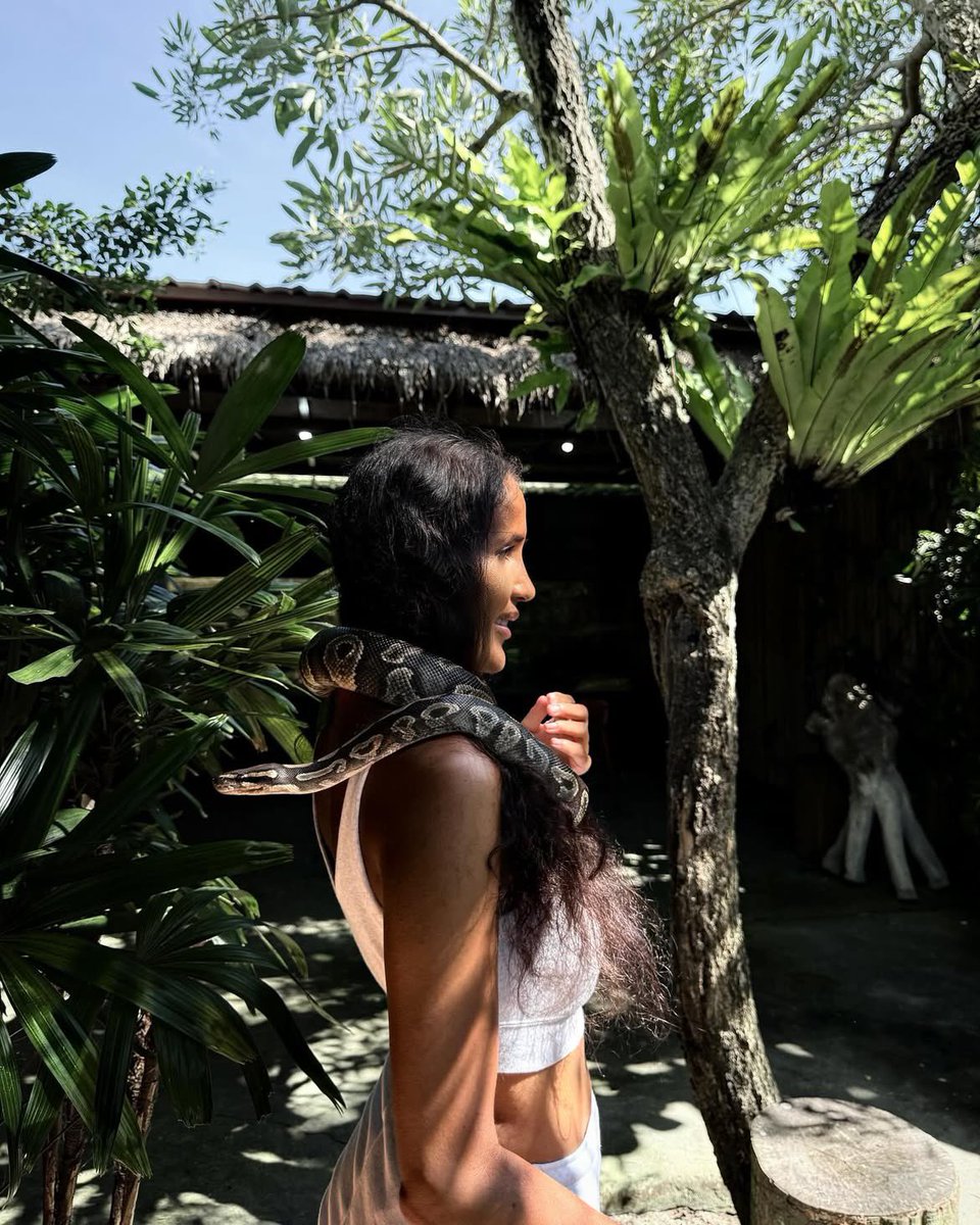 MissAdriSmith's tweet photo. 🐍 #bali #indonesia #baliisland #island #islandgirl #baligirl #ubud #snake #python #animal #wildlife https://t.co/y1pZDjA3zb