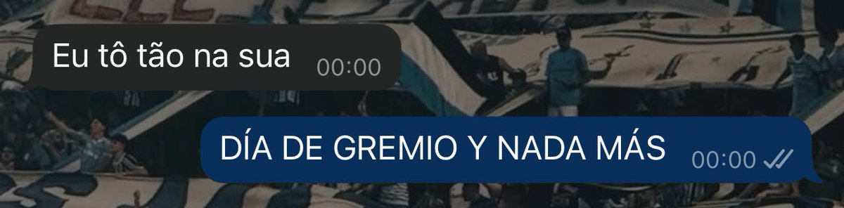 gabschm1dt's tweet photo. um print nunca me resumiu tao bem https://t.co/iv1n38HGLK
