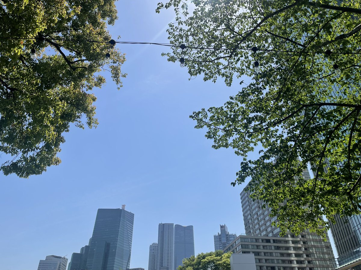 dohi_5's tweet photo. 屋外でのマインドフルネス瞑想、ヨガに参加。
自然からのエネルギーを直にいただける感覚がとても良かった。
今に集中、ジャッジはしない。
五感が研ぎ澄まされた。
エネルギーって大事なんだなぁ。 https://t.co/PUb9Mg91QR