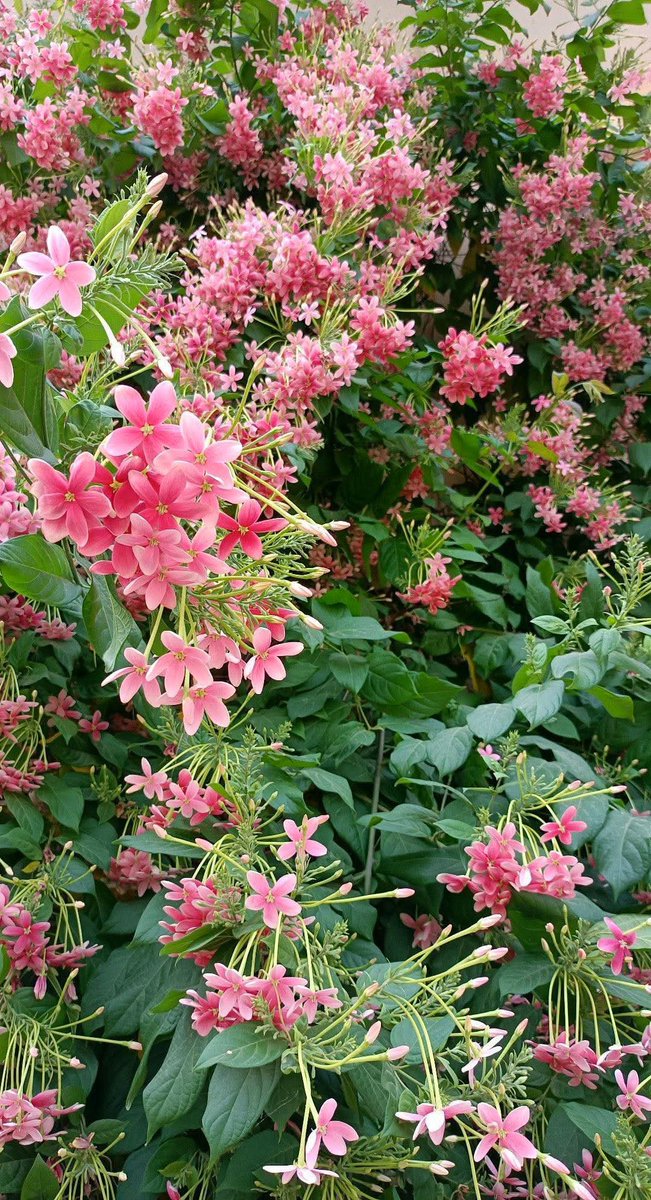 गर्मियों की यह तपिश भी चाँदनी हो जायेगी...
तुमसे मिल कर दोपहर भी शबनमी हो जायेगी...🌿🌱🌿

●●●
'अना' क़ासमी