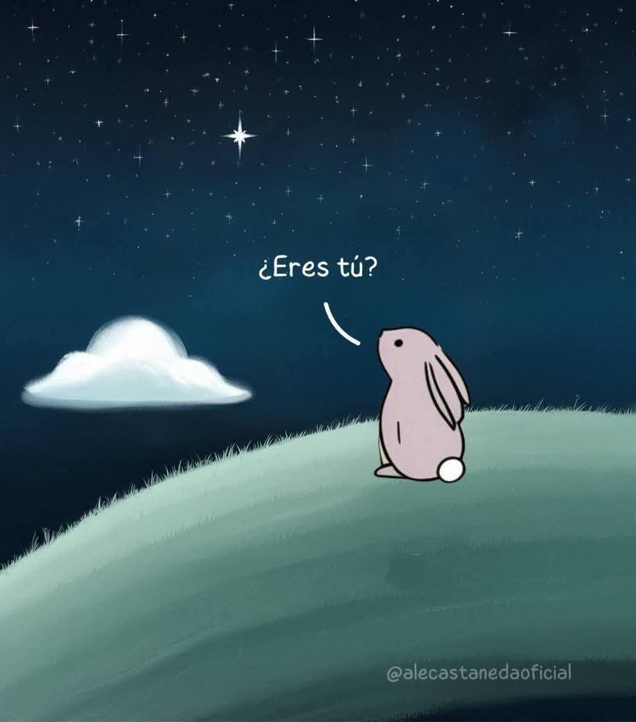 textosnublados's tweet image. ✨