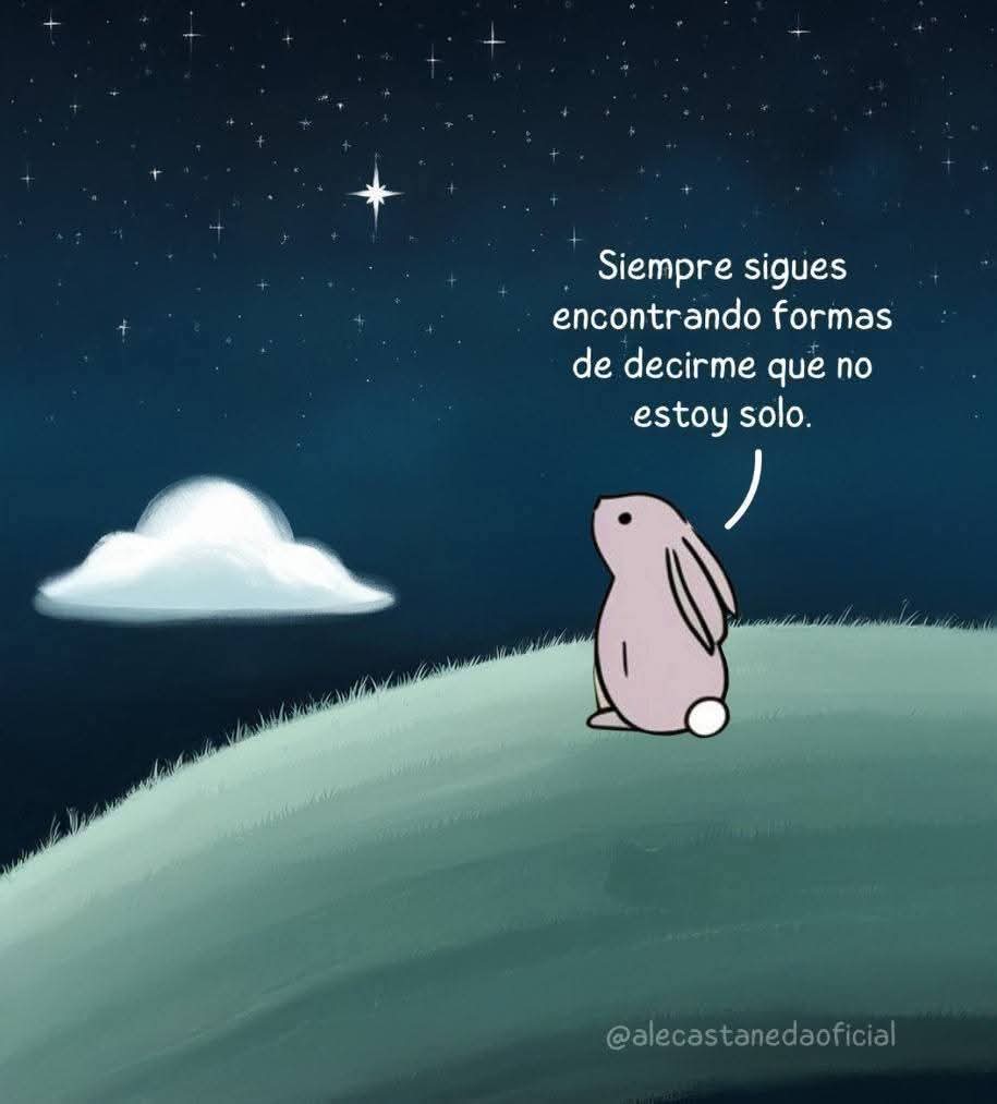 textosnublados's tweet image. ✨