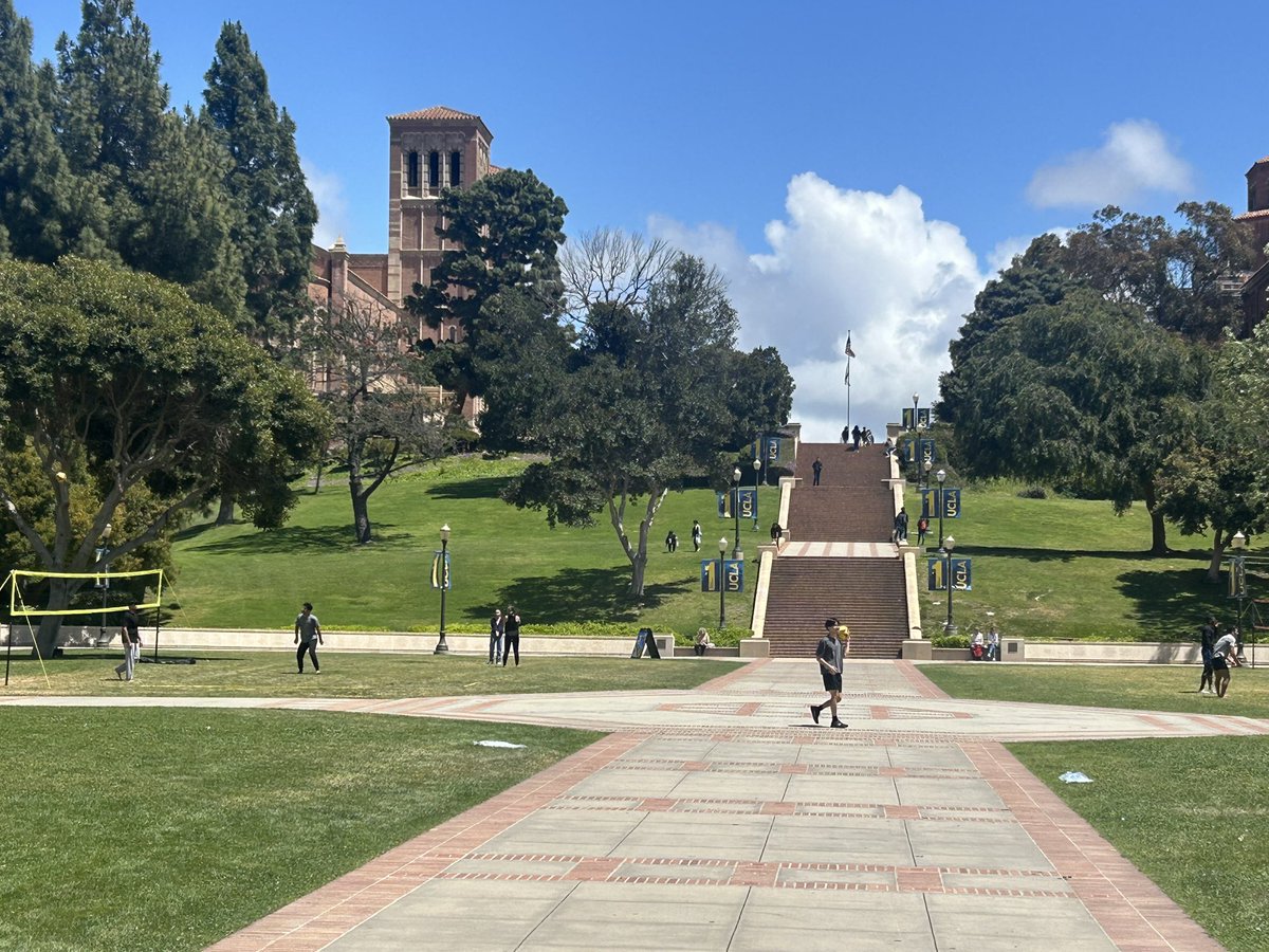 Mick Hogan tweet media