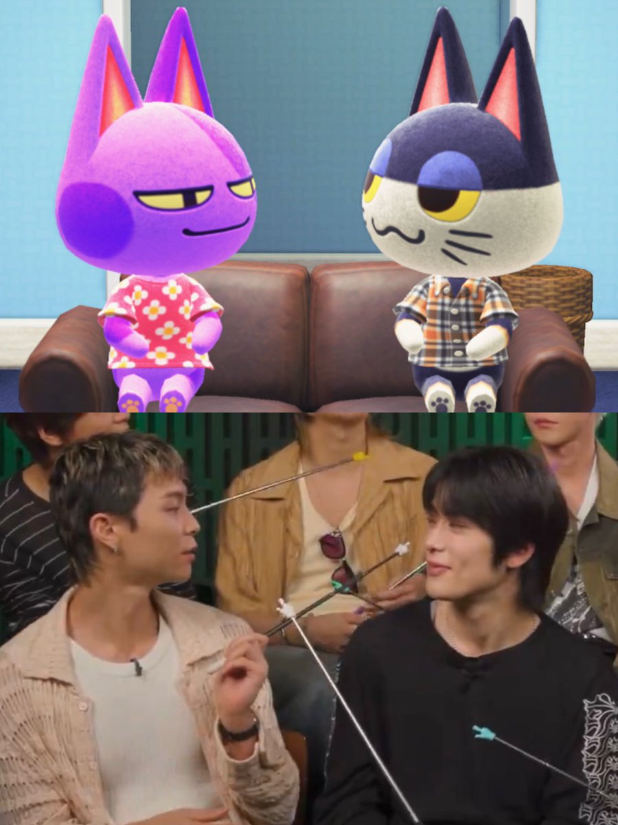 catboy marriage