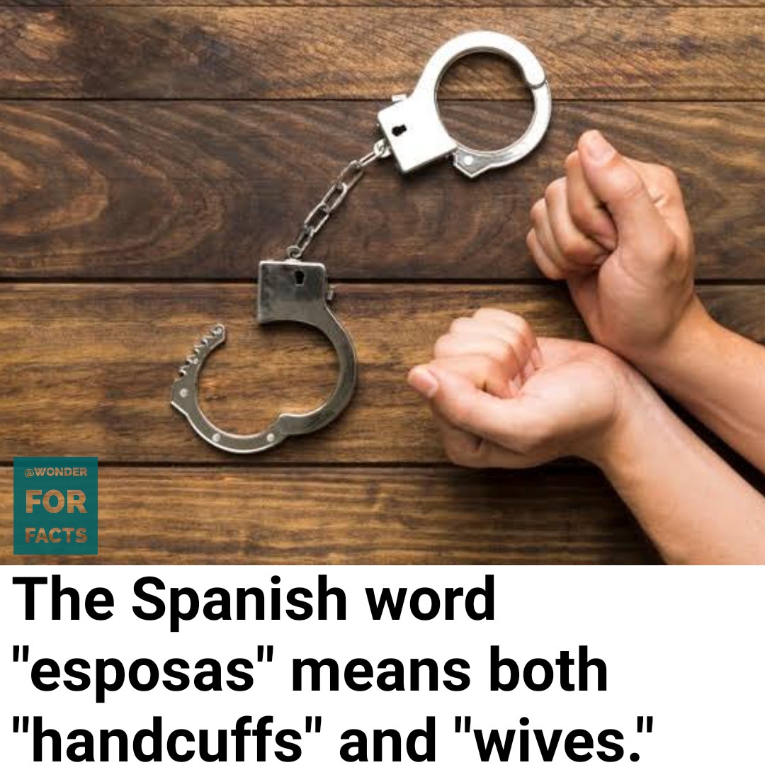 start_thinking7's tweet image. 🙄