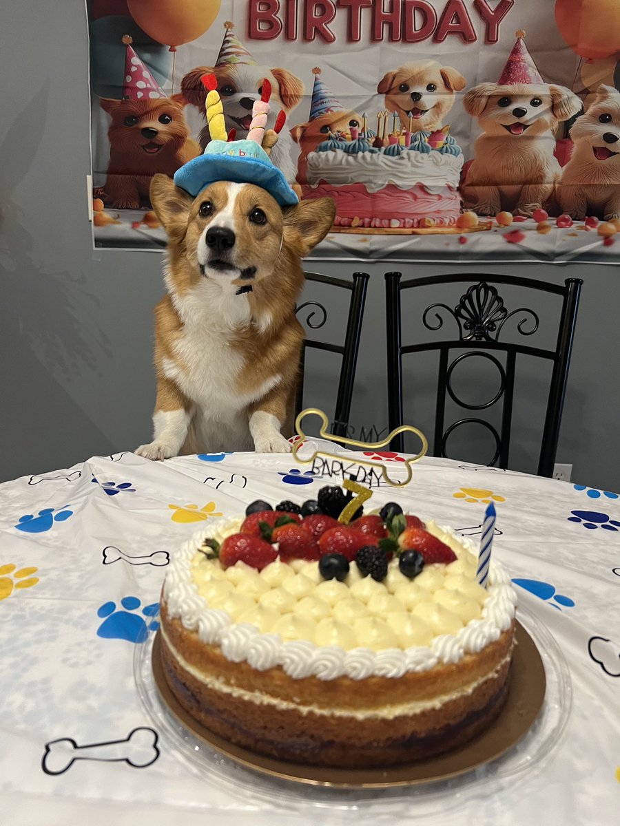 Everyone say happy 7th birthday to my pup