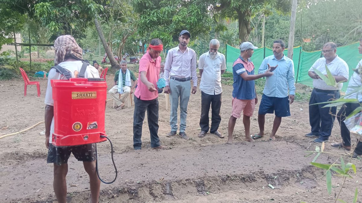 odragreenfpc's tweet photo. Implementation of  Tulsi Cluster Nursery at kantapada Block Cuttack with support of @CSIRCIMAP  @ICEFoundation1 partner @KisanSabha1 @csirimmt @startupindia @startup_odisha https://t.co/8WOtsOuzJl