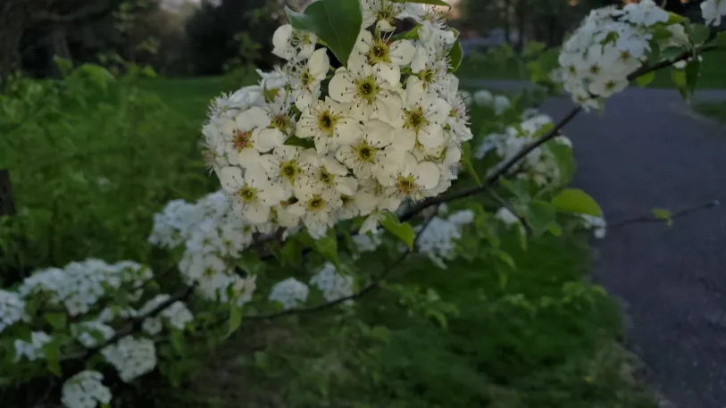 Tahmid’s Photos tweet media