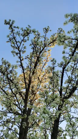 Tahmid’s Photos tweet media