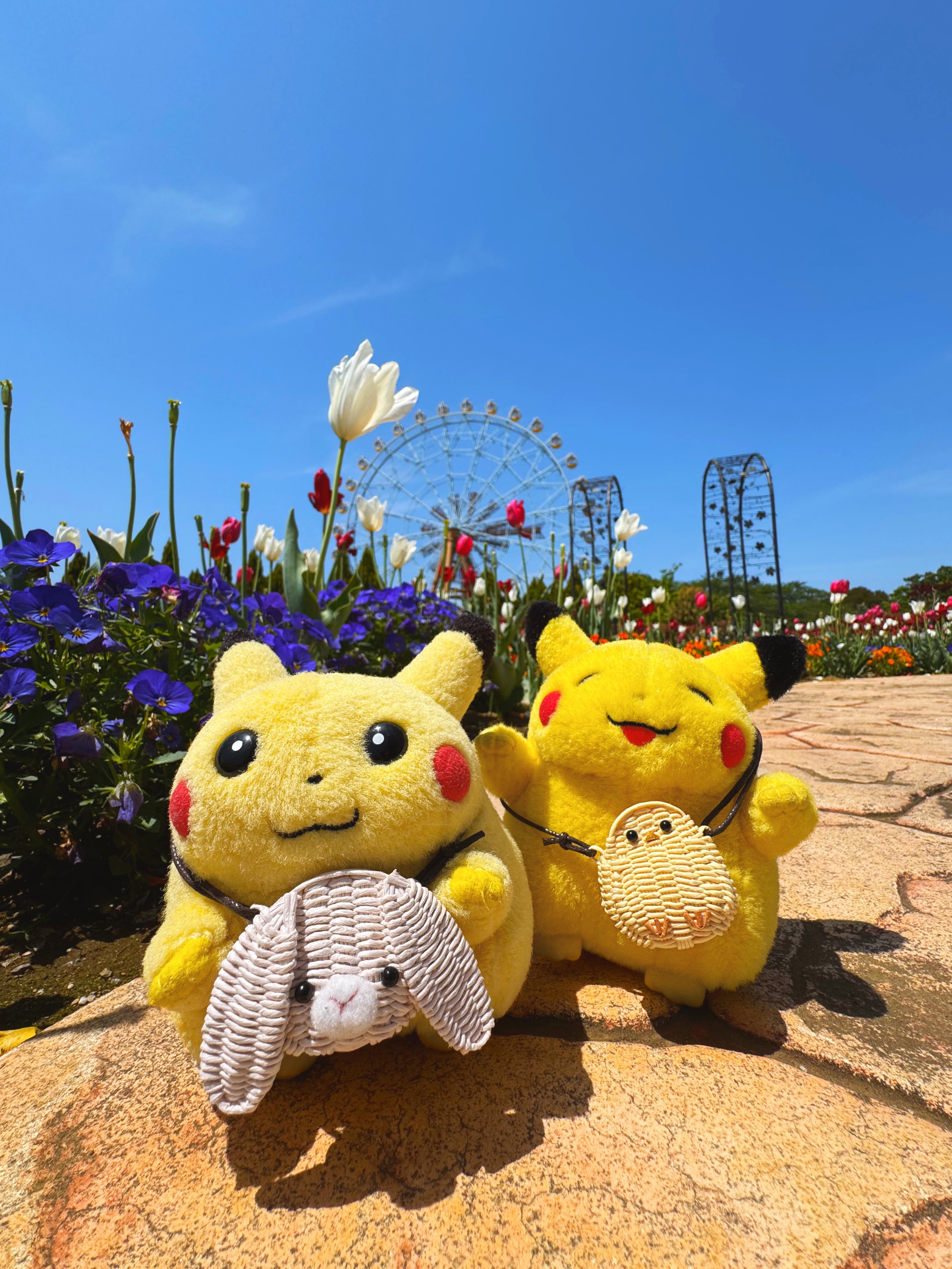 ぴすけϞໂ◜ ̫◝⚫︎͛𐓷𐓏初期ピカチュウ推し (@pika_ak_025) / X ぴすけϞໂ◜ ̫◝⚫︎͛𐓷𐓏初期ピカチュウ推し (@pika_ak_025) / X