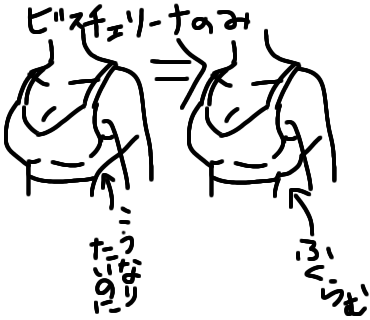 私の使い方が下手なのか体型に合ってない?のか、ヘブンジャパンのビスチェリーナだけどうしても脇部分のワイヤーがもこっと盛り上がる感じになってしまう😢右脇のワイヤーだけ左より膨らんでる感じもするんだよな。まだ着用してから数回程度 