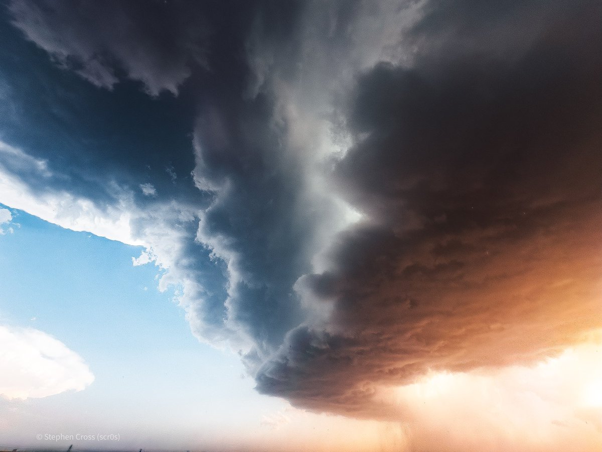 Stephen Cross tweet media