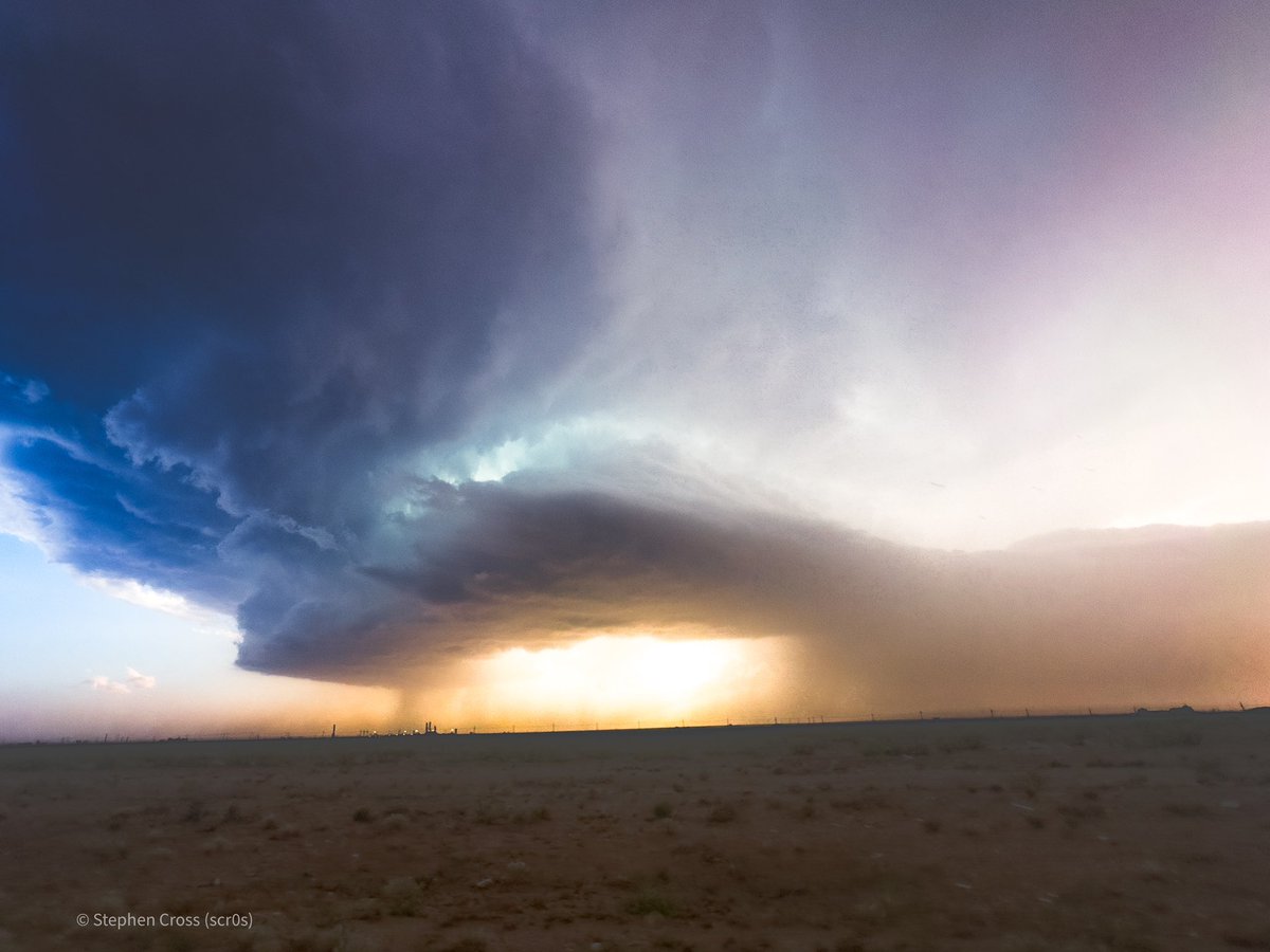 Stephen Cross tweet media