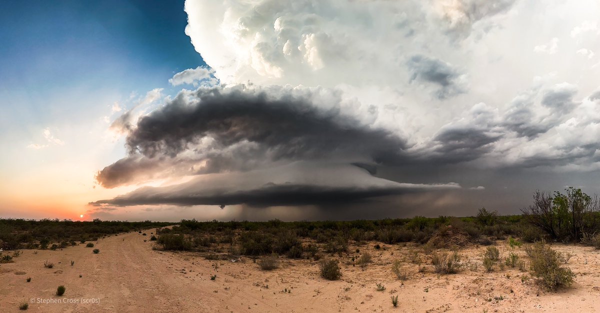 Stephen Cross tweet media