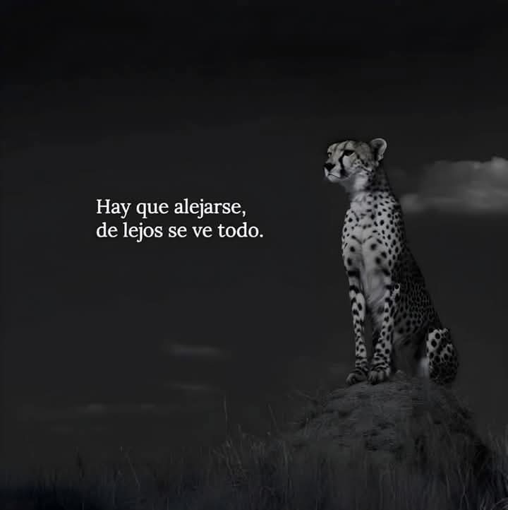 MireilleGuzman's tweet photo. https://t.co/zS6386Acdq
