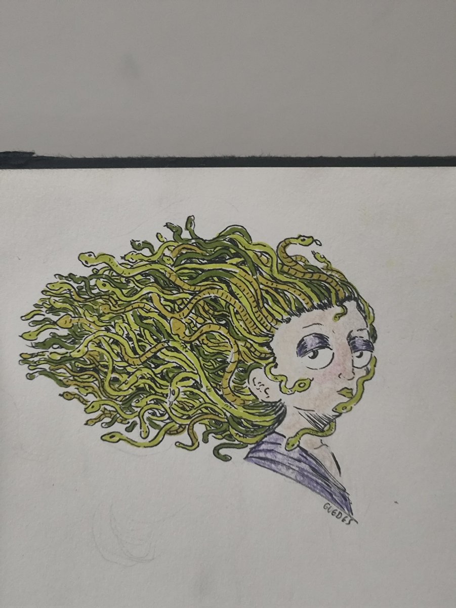 Guedes no site azul tweet media