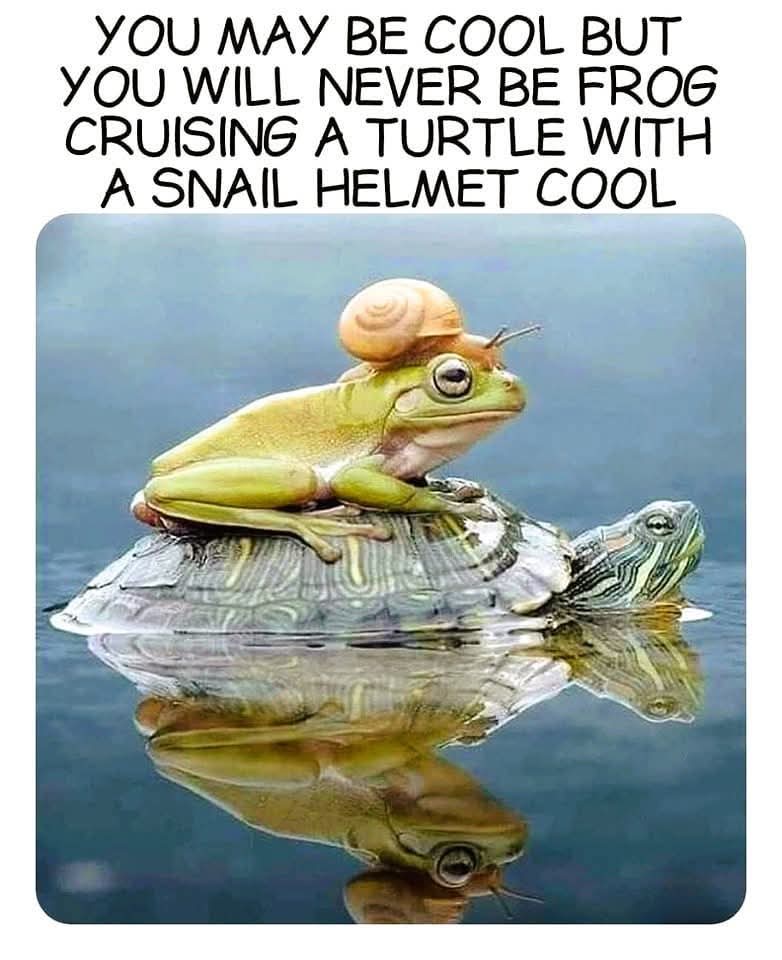 C🐊r🌿y🐍s🍀t🐸a🌾l (@sidellwrites) on Twitter photo 