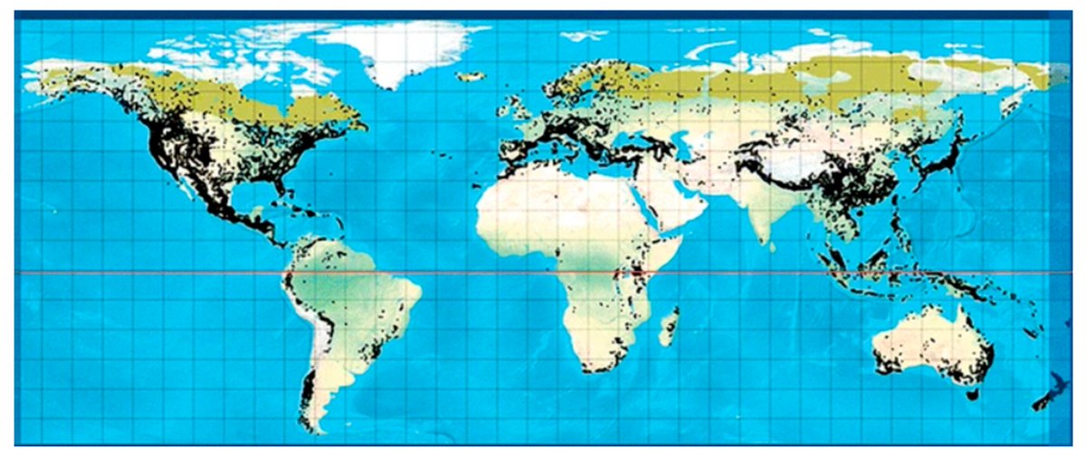 Encyclopedia_X's tweet image. 🌲 Conifers: More Than Just Christmas Trees!

Their extracts fight diabetes, cancer &amp;amp; oxidative stress—thanks to resveratrol, quercetin &amp;amp; other bioactive heroes.

🔗 See the data: encyclopedia.pub/entry/10293

@Molecules_MDPI 

#BotanicalMedicine #HolisticHealth