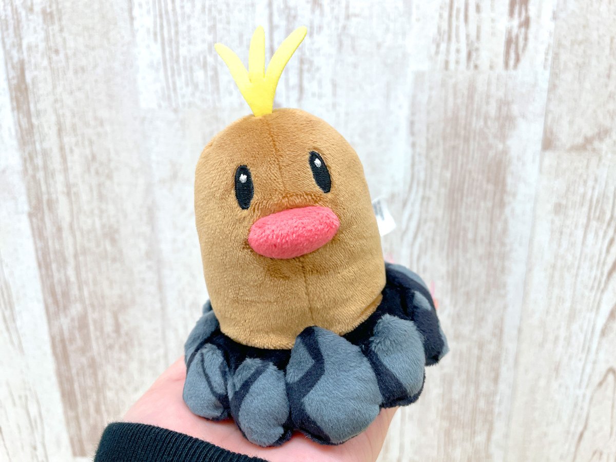 ⏔⏔ ୨☀୧ ⏔⏔ *Pokémon fit* ⏔⏔ ୨🌕୧ ⏔⏔ アローラ