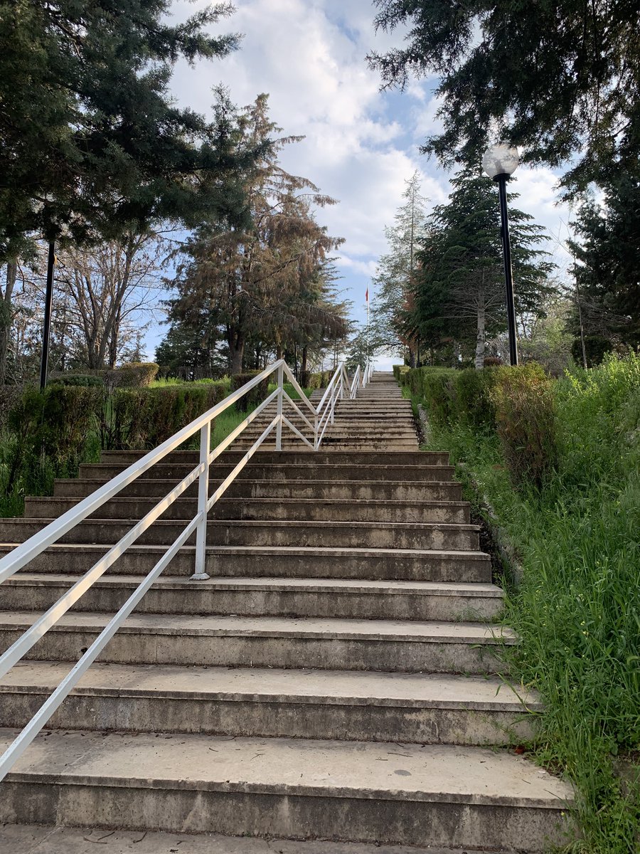 melikekirdas's tweet photo. Nasibime giden yol diye tanımladım 🫣 https://t.co/JpdZximlv1