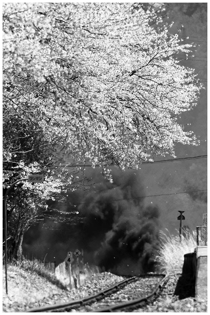 楓ちゃん tweet media