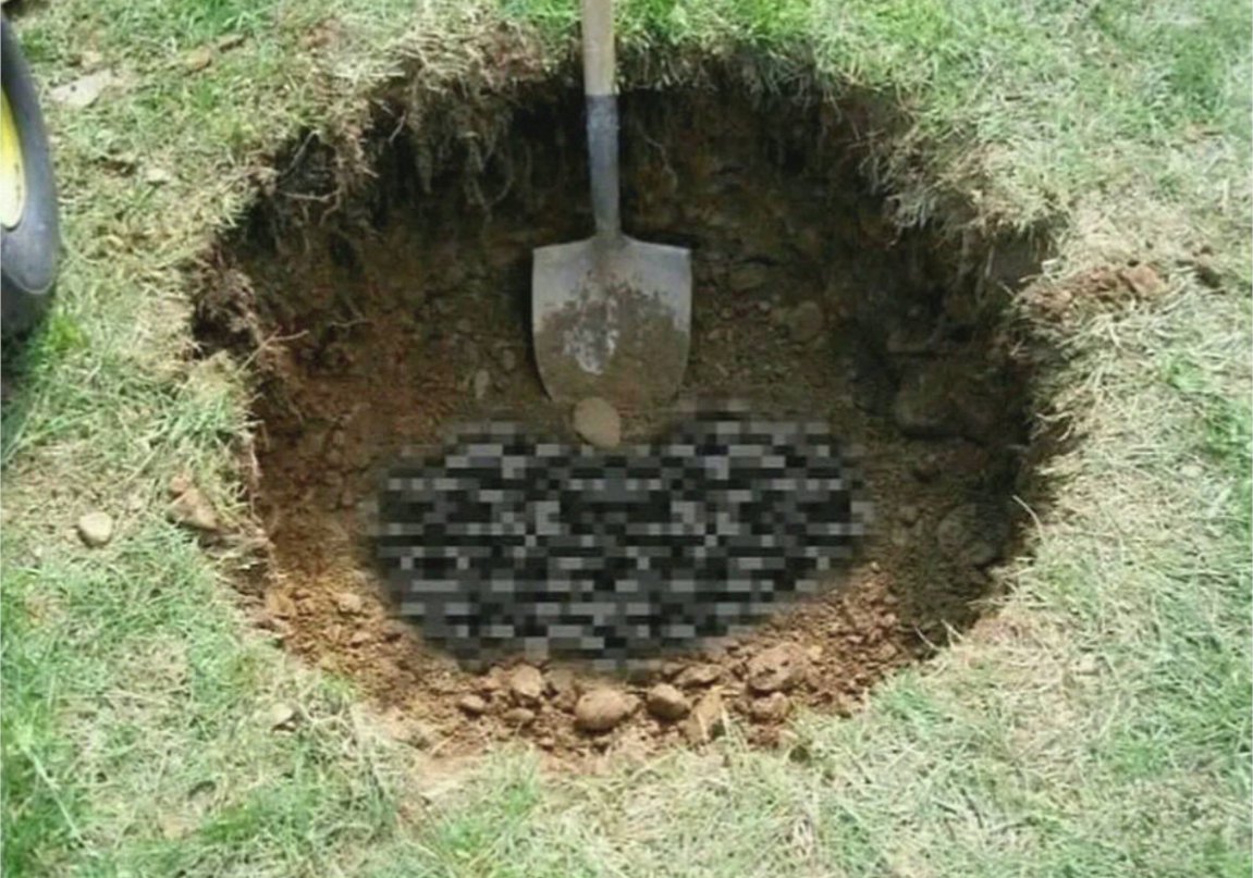 Epic Wallpapers tweet media