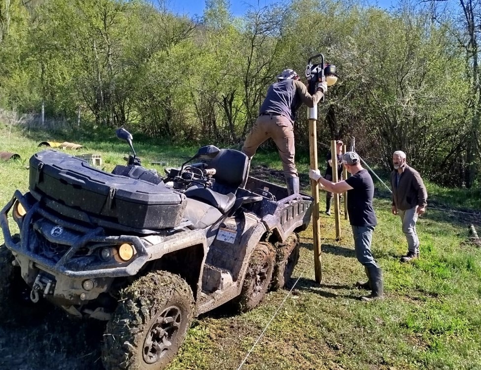 FAPASSPAIN's tweet image. PREPARADOS PARA EVITAR DAÑOS DE OSO EN LOS COLMENARES
Los apicultores de la comarca cántabra de Alto Campoo se están preparando para recibir al oso sin preocupaciones por la supervivencia de sus colmenas.
fapas.es/noticias/prepa…