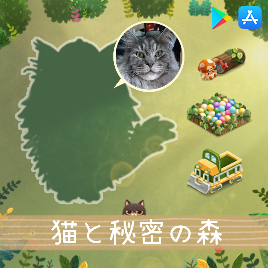公式】猫と秘密の森 (@SecretCatF_JP) / X