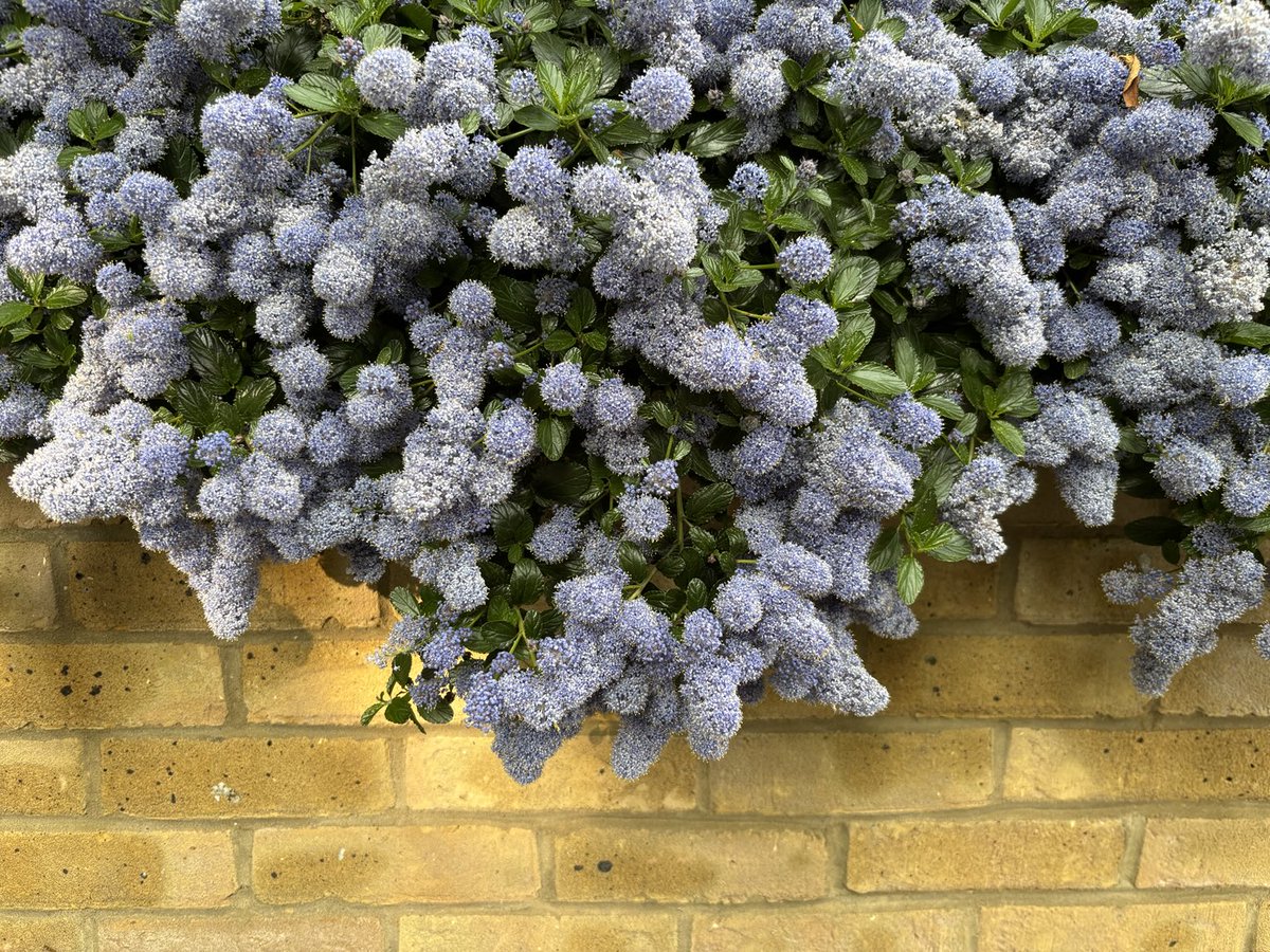 joanna pocock tweet media