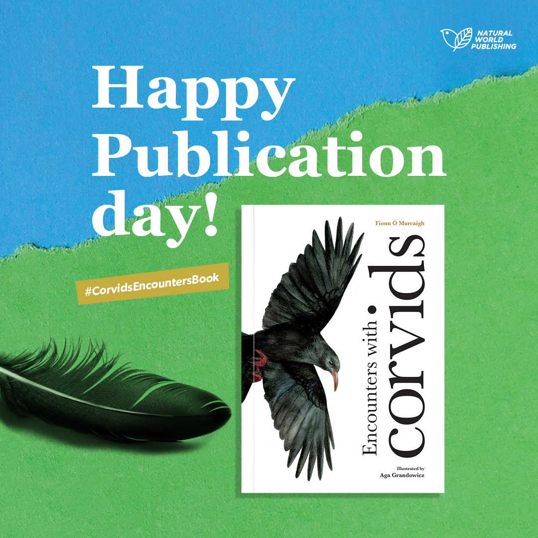 Natural World Publishing (@natworldpubli) on Twitter photo 🎉✨ It’s here! Encounters with corvids by <a href="/Scaladoir/">Fionn Ó Marcaigh</a> and <a href="/AgaGrandowicz/">Aga Grandowicz</a> is out now! 🖤
📖Get your copy at <a href="/gutterbookshop/">Gutter Bookshop</a> & more.
📖 Launch: May 7, 6:30 PM
📗 Booksellers: Order via @argosybooks
#corvids #Crows #IrishWildlife #NewRelease #OutNow 🎉✨ It’s here! Encounters with corvids by <a href="/Scaladoir/">Fionn Ó Marcaigh</a> and <a href="/AgaGrandowicz/">Aga Grandowicz</a> is out now! 🖤
📖Get your copy at <a href="/gutterbookshop/">Gutter Bookshop</a> & more.
📖 Launch: May 7, 6:30 PM
📗 Booksellers: Order via @argosybooks
#corvids #Crows #IrishWildlife #NewRelease #OutNow